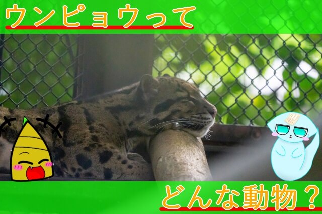 Thumbnail of post image 168